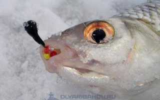 Рыбалка на безмотылку зимой