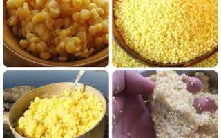 На что ловить плотву в августе