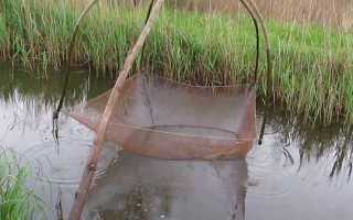 Что такое паук для рыбалки?