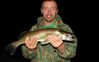 Ловля хищной рыбы