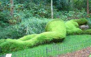 Под покровом дня: DIY-идеи для создания шатра на участке