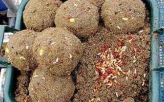 Ловля крупного леща