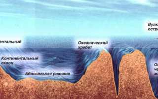 Рельеф дна мирового океана части дна