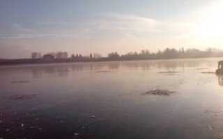 Как ловить щуку на жерлицы