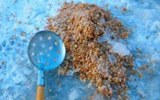 Рыбалка по первому льду