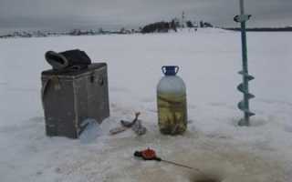 Как хранить живца