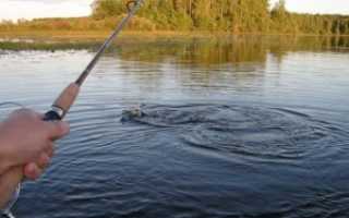 Как правильно ловить щуку на спиннинг?