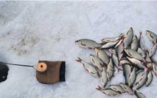 Зимой на безмотылку. Снасть, техника и тактика ловли