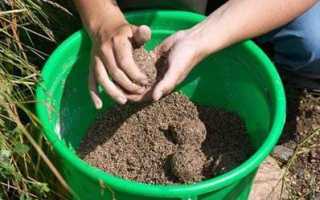 Как ловить язя на фидер