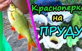 Донка с кормушкой