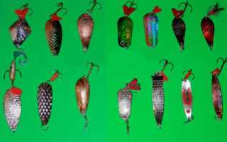 Как ловить на блесну колебалку: классификация и виды проводок