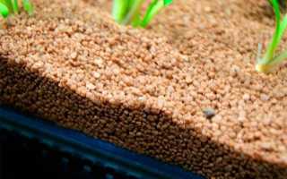 Запуск аквариума с нуля. Подготовка и правильный запуск нового аквариума: пошаговая инструкция