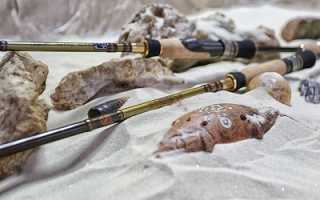 Лучшие спиннинги