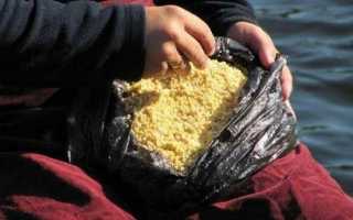 Салапинская каша для ловли на фидер