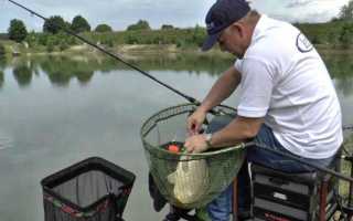 Какую выбрать плетенку для фидера и рейтинг лучших моделей