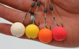 Бойлы на карпа своими руками