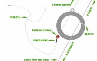 Ловля леща на кольцо