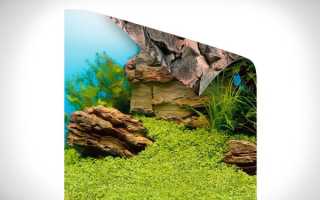 Как сделать декорации для аквариума своими руками?