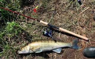 Ловля на спиннинг для начинающих