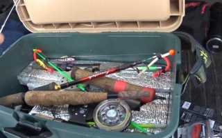 Форель зимой: места обитания рыбы, образ жизни и способы любительской ловли