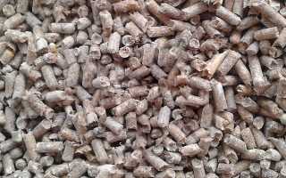 Особенности ловли плотвы зимой – тактика, техника и снасти