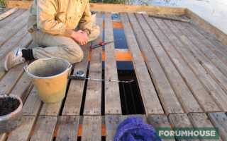 Комбикорма для рыбалки