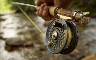 Нахлыст или УЛ спиннинг? И что делать, если вы нашли лососевых рыб в “неположеном” месте.