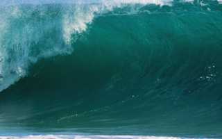 Привезти морскую воду с моря