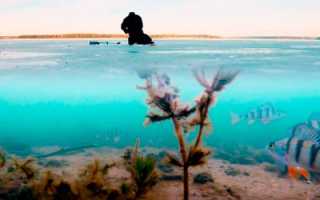 Самые уловистые места в России (14 фото + 1 видео)