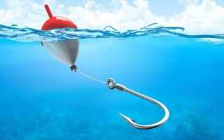 Как ловить линя на поплавочную удочку?