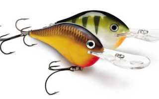 Rapala Super Shad Rap