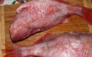 Окунь в кляре