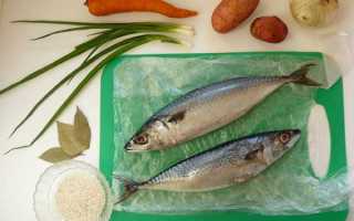 Уха из свежемороженой скумбрии – пошаговый рецепт с фото