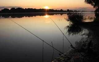 Как ловить на фидер на реке