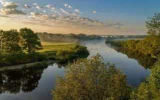 Рыбалка в Брянске и Брянской области