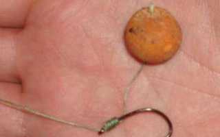 Ловля карпа