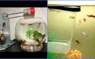 Автокормушка для аквариума: виды, принцип работы, какую выбрать?