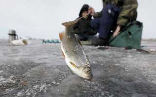 Рыбалка в Ханты-Мансийске