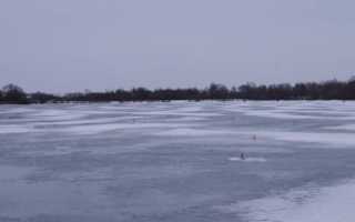 как ловить на жерлицу?