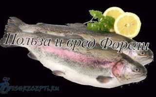 Рыба «Форель мраморная» фото и описание