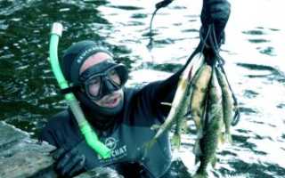 Озеро Карась в Марий Эл: история, легенды, развитие