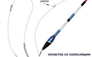 Ловля белого амура на фидер, штекер, на камыш, кукурузу, удочку