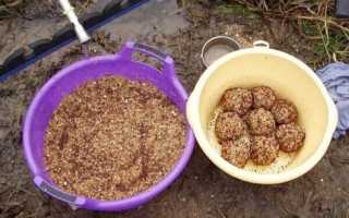 Ловля голавля в сентябре