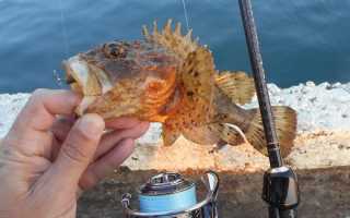 Морская рыбалка