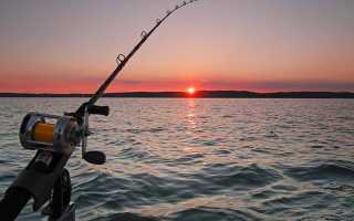 ТОП лучших воблеров для троллинга