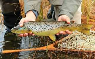 Рыбалка на Баренцевом море