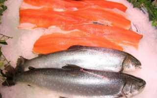 Рыба «Голец арктический» фото и описание