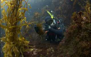 Как океан кормит людей