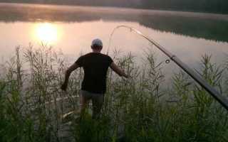 Как ловить карпа на поплавочную удочку