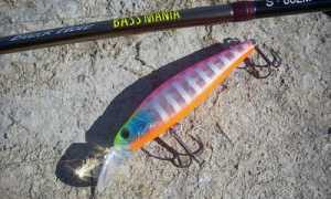 Выбираем спиннинг: новичку, для твичинга, джига, троллинга, универсальный